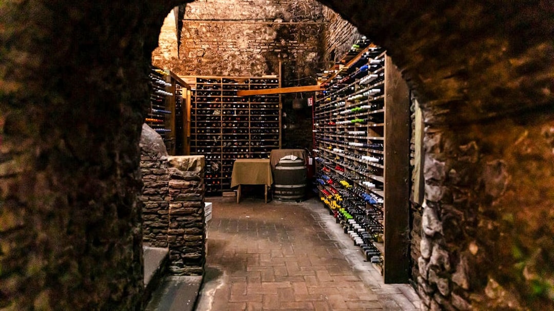 Wine cellar at Spirito Divino, 160 years older than the Colosseum, Rome food tour.