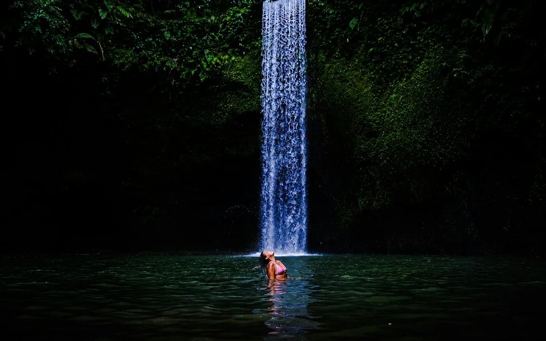 Ubud Private Tour with Tickets: Ubud Monkey Forest, Tegalalang Rice Terrace and Waterfalls
