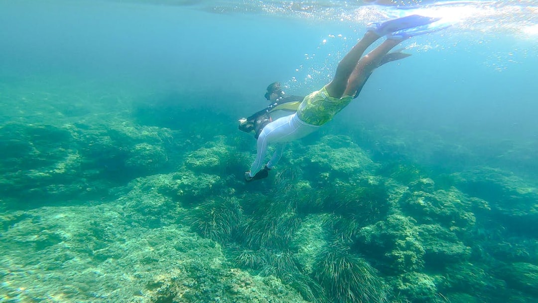Snorkelers exploring underwater scenery in Saint-Jean-Cap-Ferrat, Nice, France.