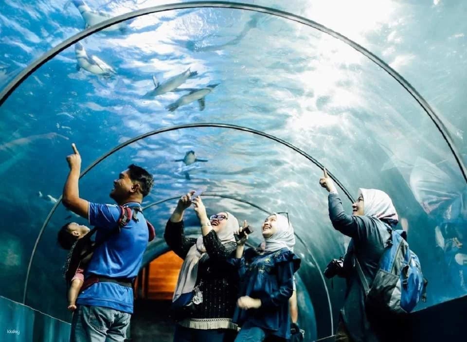 Underwater World Langkawi: Admission Ticket | Malaysia