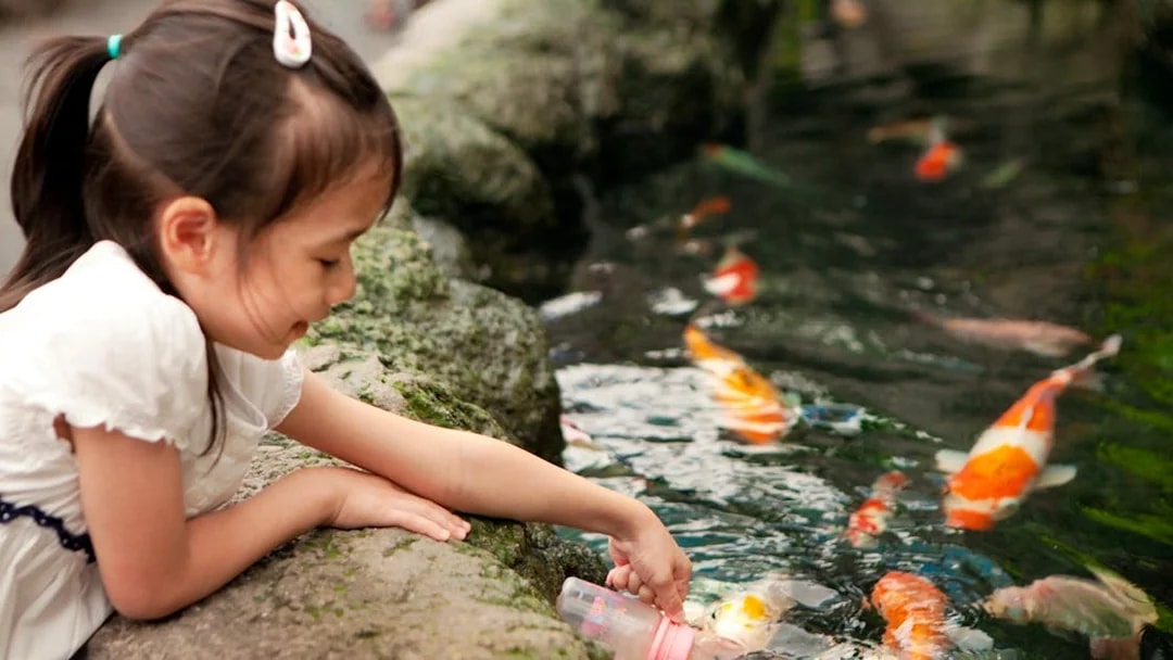 Child feeding koi fish at Underwater World Pattaya.