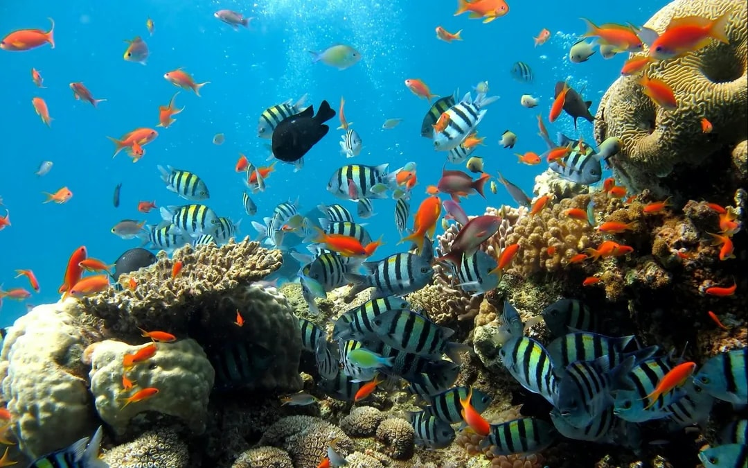 Underwater World Pattaya Image 1