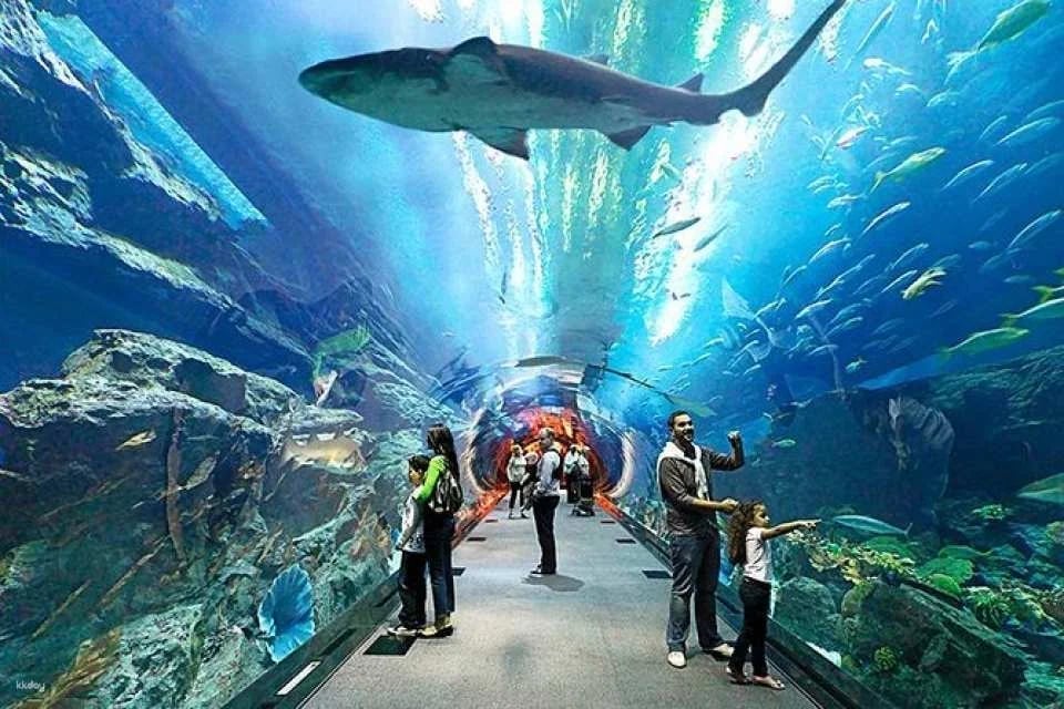 Underwater World Pattaya Experience - Thailand