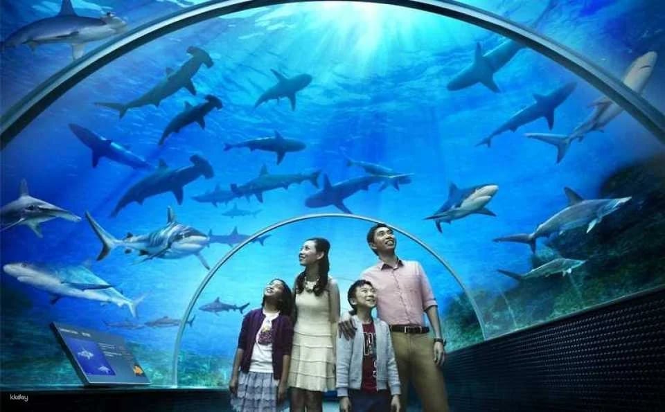 Underwater World Pattaya Experience | Thailand