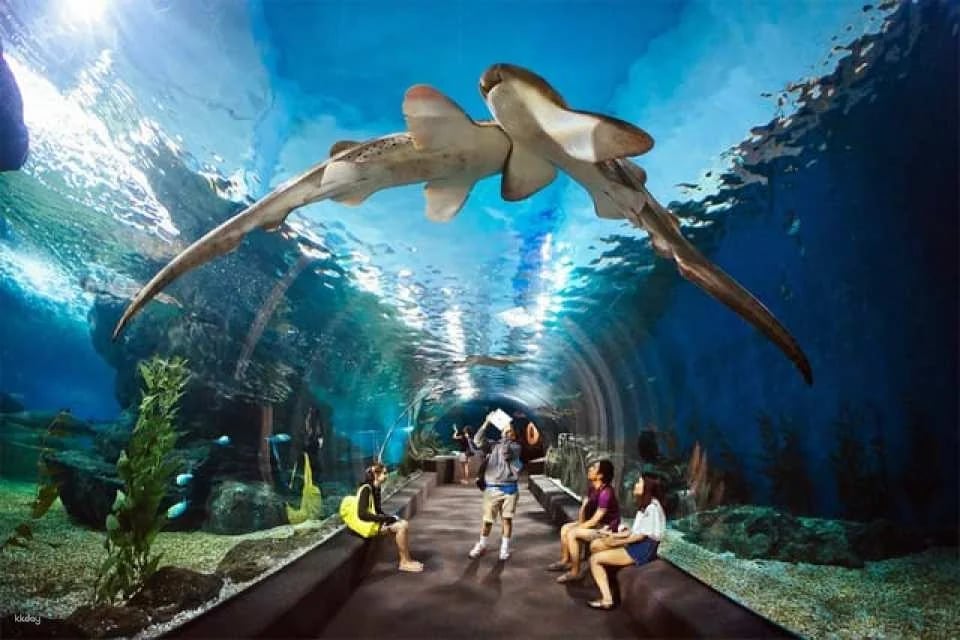 Underwater World Pattaya Experience | Thailand