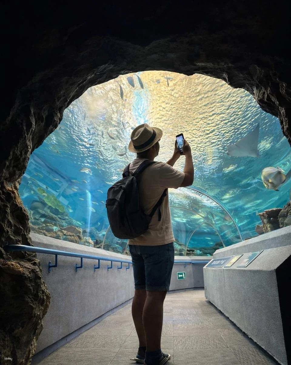 Underwater World Pattaya Experience | Thailand