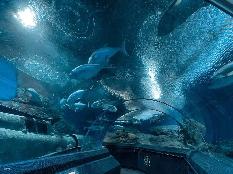 Underwater World Pattaya Experience | Thailand