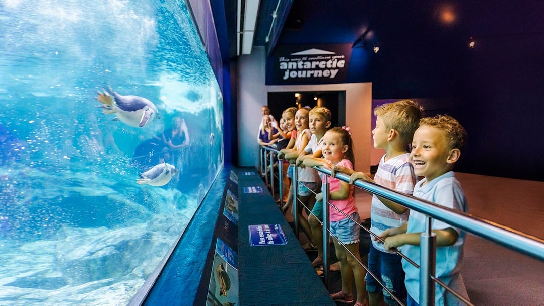 Children watching penguins swim at Sea World, Gold Coast.