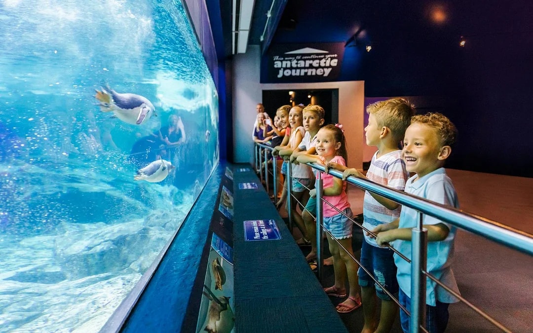 Unlimited 5-Day Theme Parks Pass: Movie World, Sea World & Wet'n’Wild Image 10