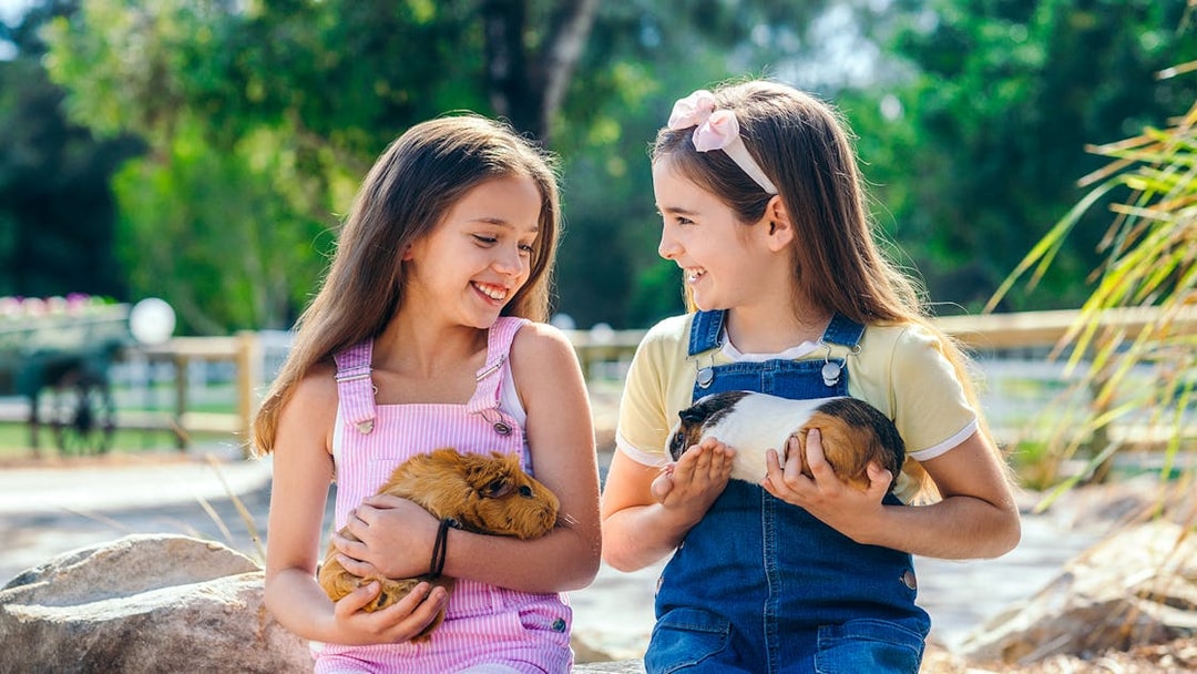 Girls holding guinea pigs at Paradise Country animal nursery, Gold Coast.