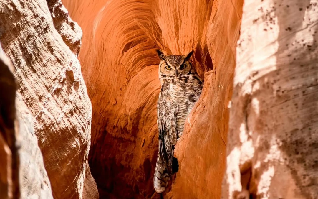 Upper Antelope Canyon Tour with Navajo Guide Image 4
