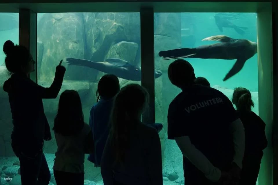 Vancouver Aquarium: Admission Ticket | Canada