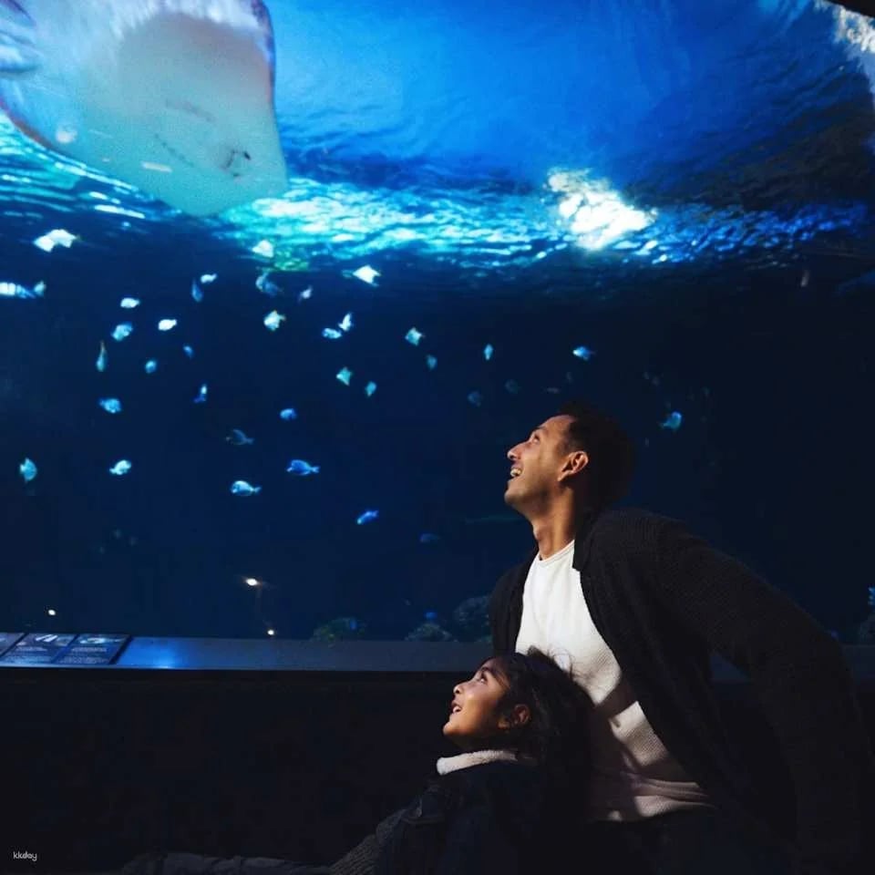 Vancouver Aquarium: Admission Ticket | Canada