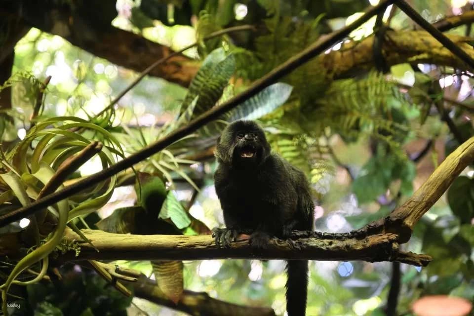 Vancouver Aquarium: Admission Ticket | Canada