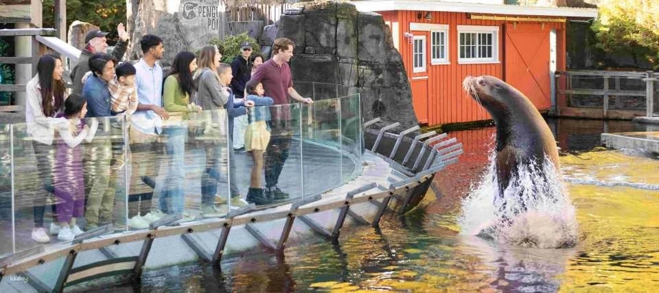 Vancouver Aquarium: Admission Ticket | Canada