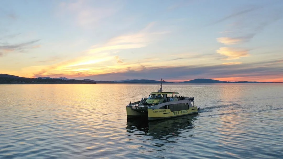 Prince of Whales catamaran sailing on calm waters at sunset.