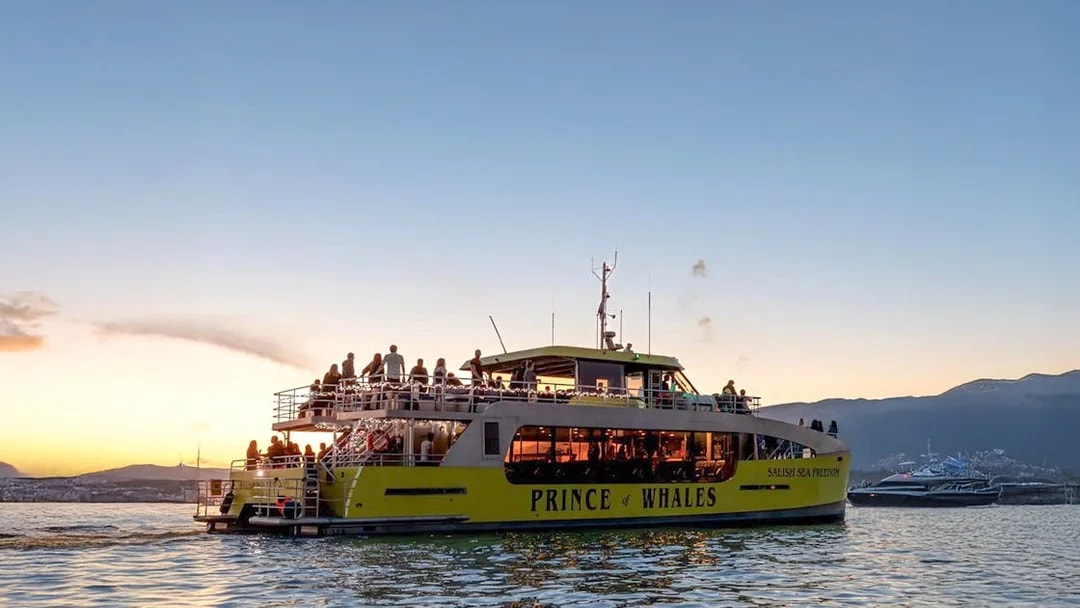 Whale watching boat "Prince of Whales" on the water at sunset with passengers on deck.