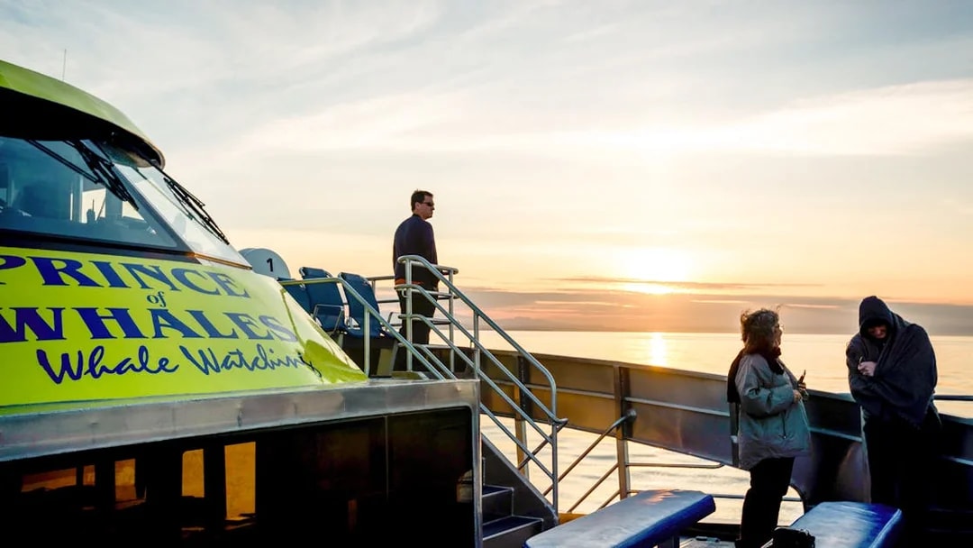 Group on Prince of Whales boat during sunset whale watching tour.