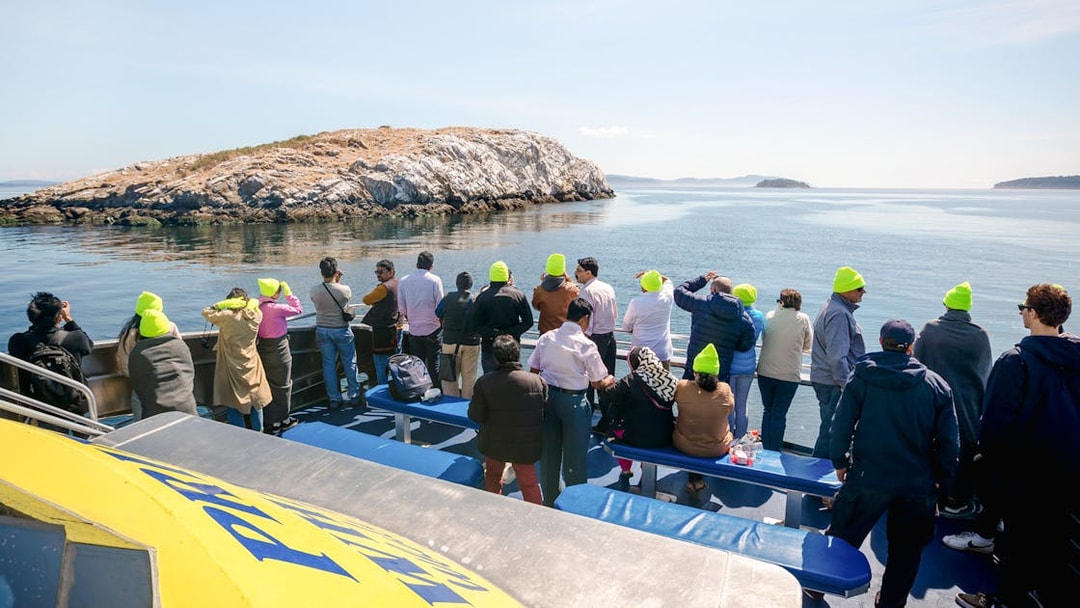 Group on a whale watching tour with Prince of Whales in Vancouver, viewing ocean and islands.