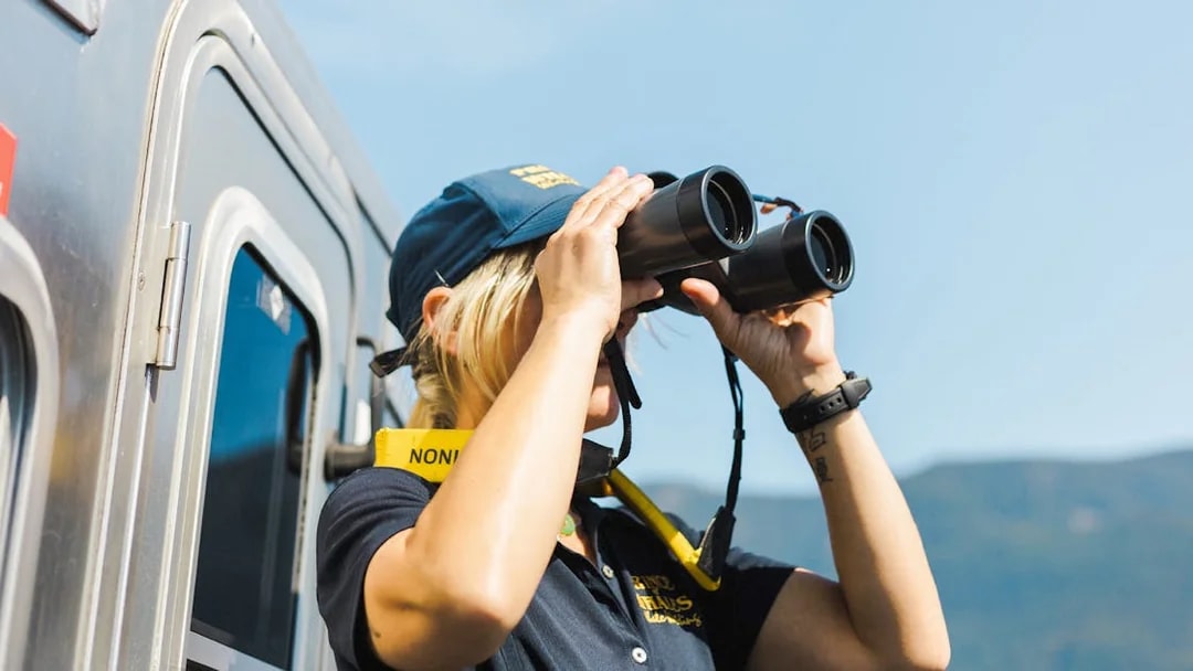 Woman using binoculars on a train, looking at distant mountains.