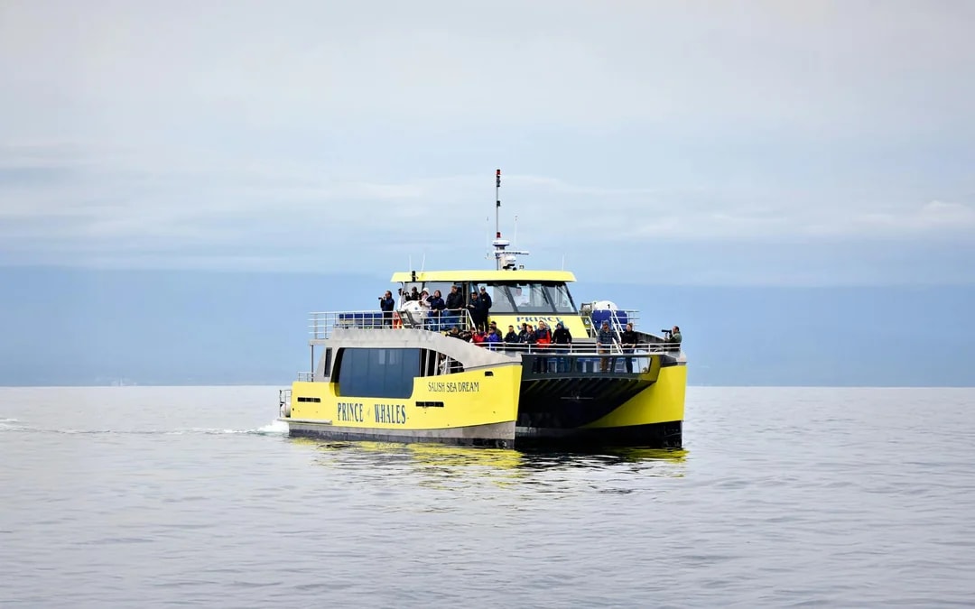 Vancouver Whale Watching Tours Image 6