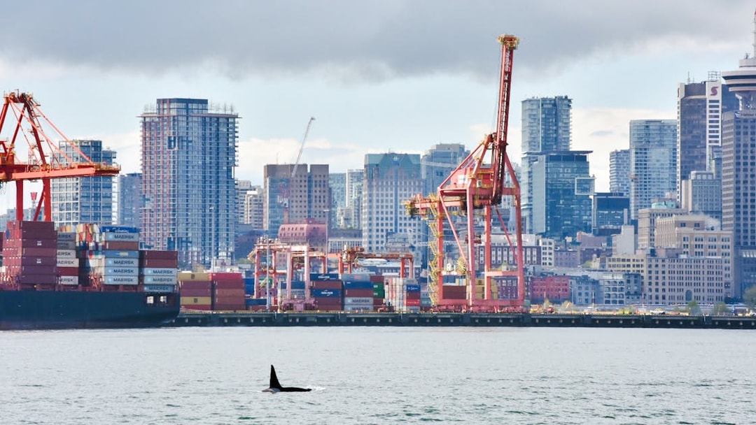 Orca whale swimming near Port of Vancouver with city skyline in background.