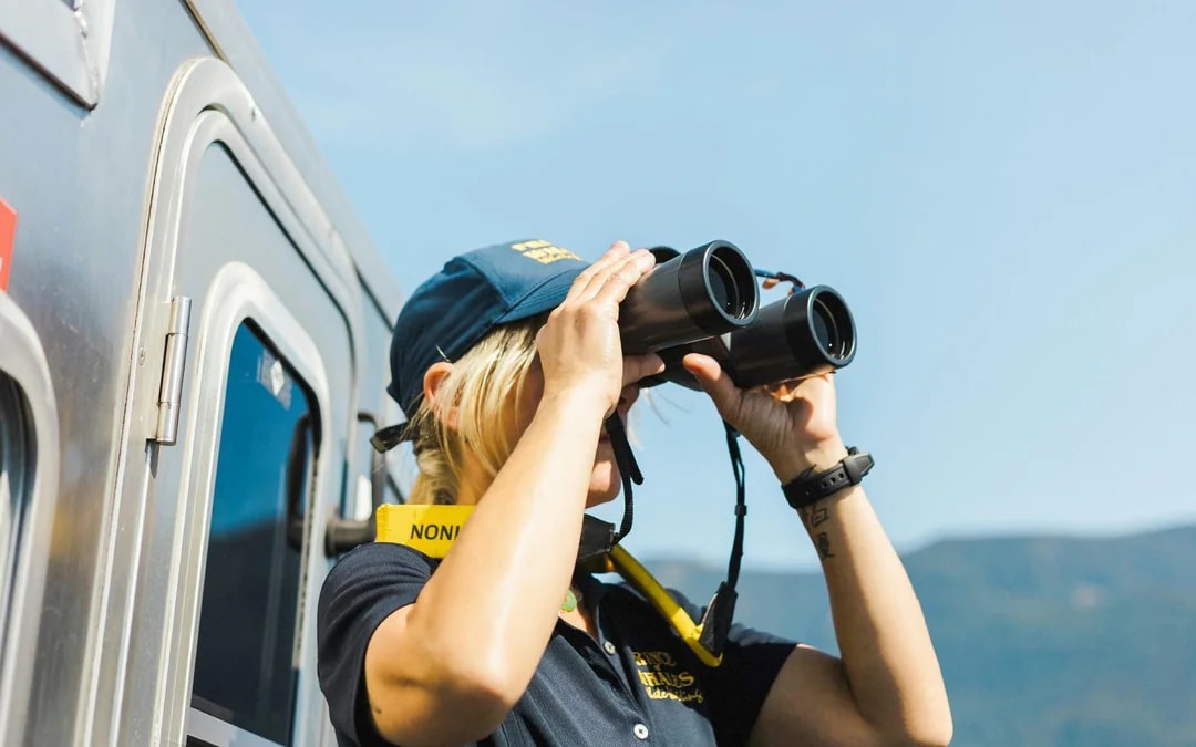Vancouver Whale Watching Tours Image 7