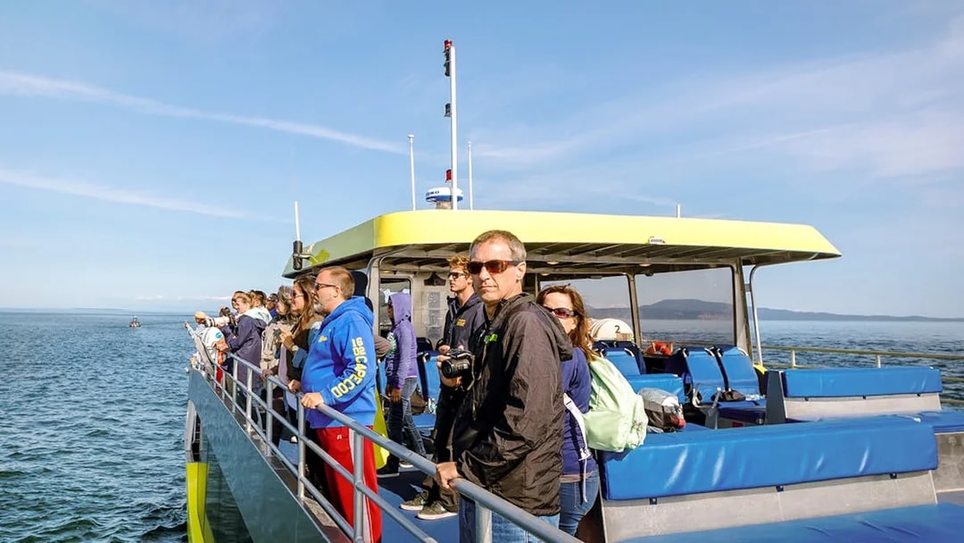 Group on a boat during a whale watching tour in open sea.