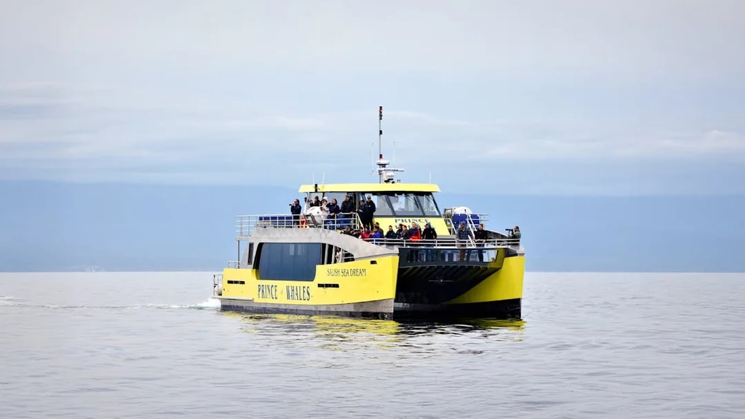 Highspeed catamaran Salish Sea Dream on a whale watching tour by Prince of Whales.