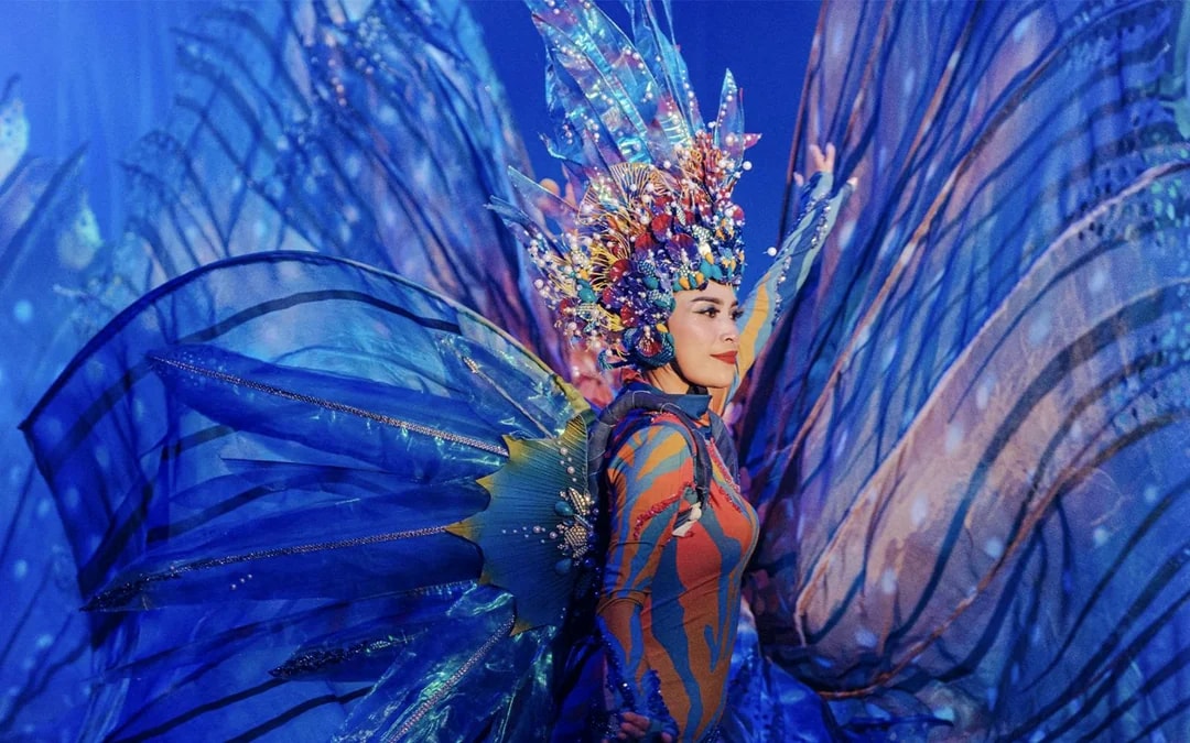 Varuna Underwater Show Tickets Image 8