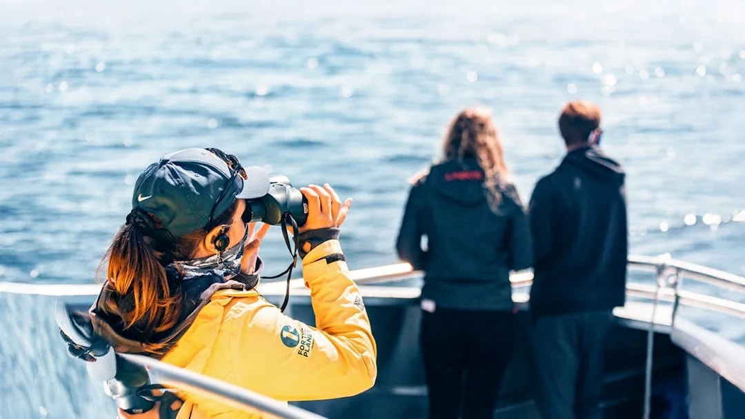 People on a boat during a whale watching tour, one using binoculars to view the ocean.