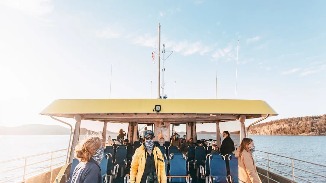 Covered boat with passengers on a half-day whale watching tour, scenic coastal view.