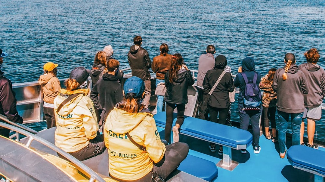 People on a whale watching boat tour, observing the ocean.