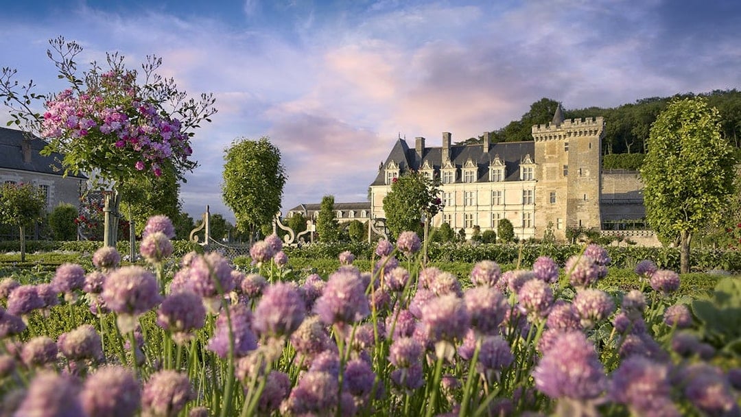 Villandry Gardens with Château in background, featuring vibrant flowers and manicured hedges.