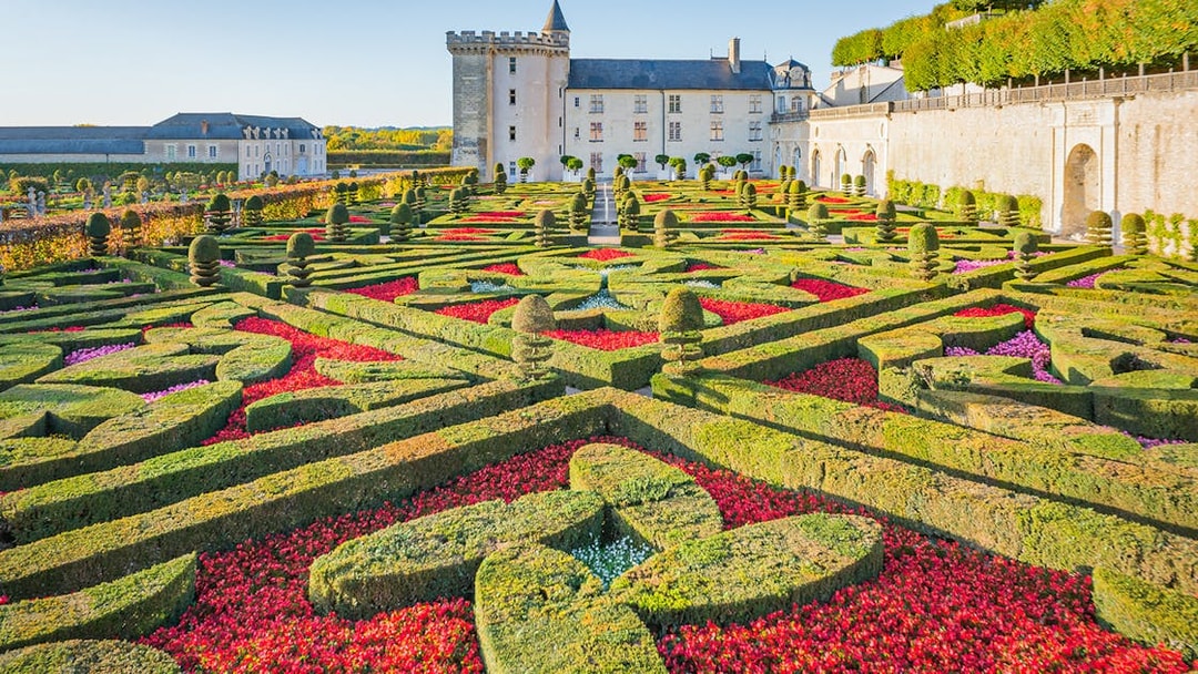 Ornamental Garden at Château of Villandry with intricate hedges and vibrant flowers.
