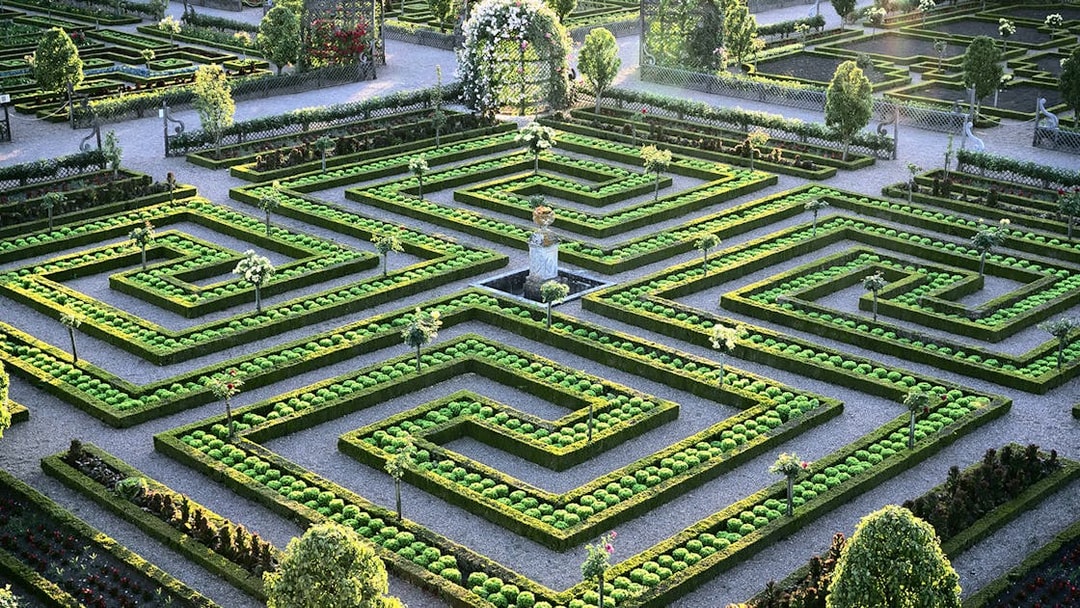 Maze Garden at Château of Villandry with intricate hedges and central fountain.