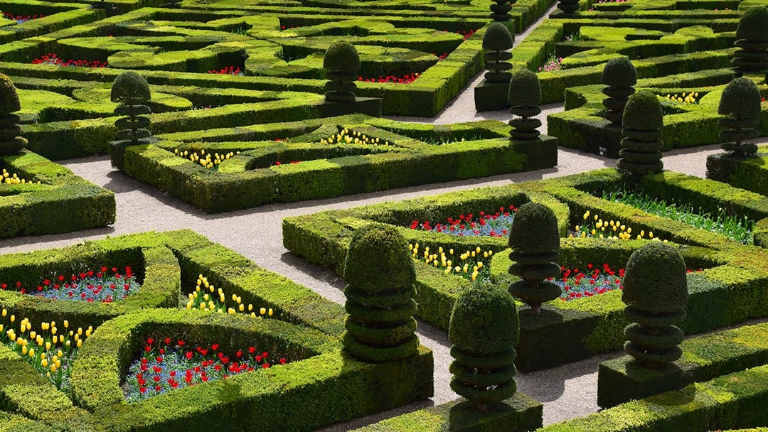 Villandry Gardens' intricate hedges and colorful flower beds in France.