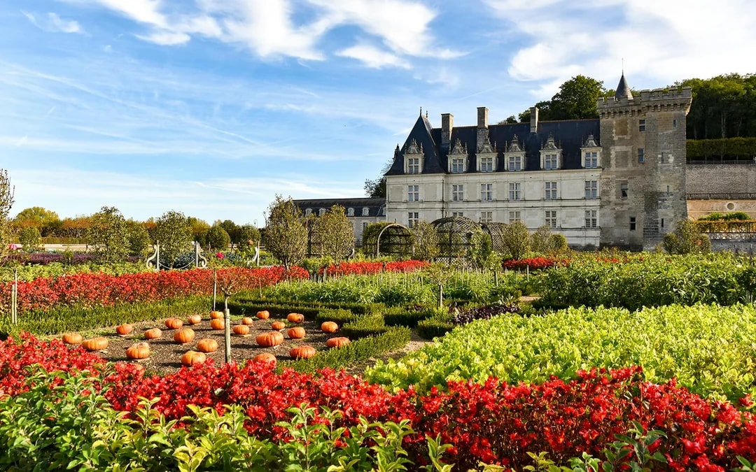 Villandry Castle Gardens-only Ticket Image 10