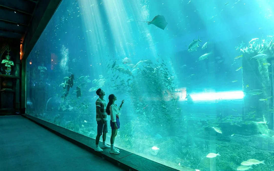 VinWonders Phu Quoc Tickets Image 9
