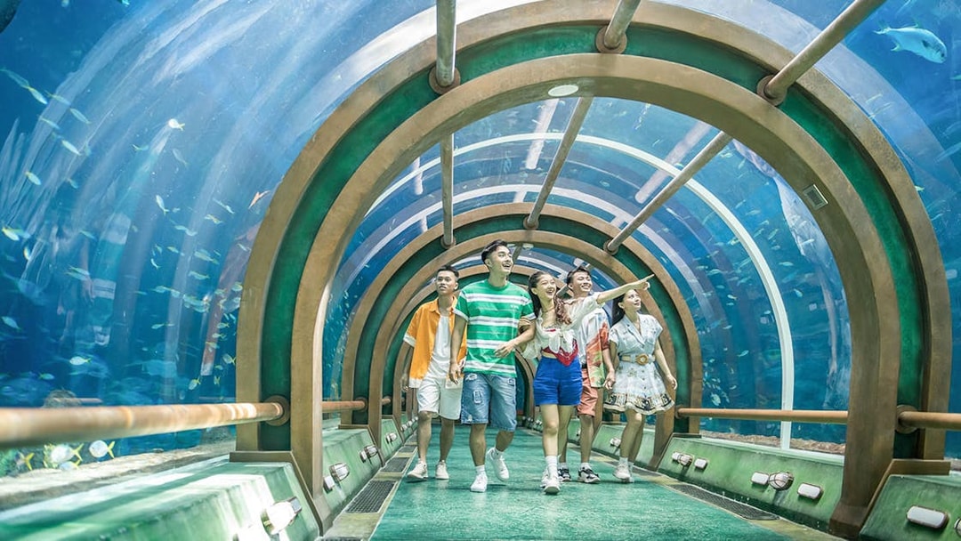 Guests walking through underwater tunnel at Aquarum, VinWonders Phu Quoc.