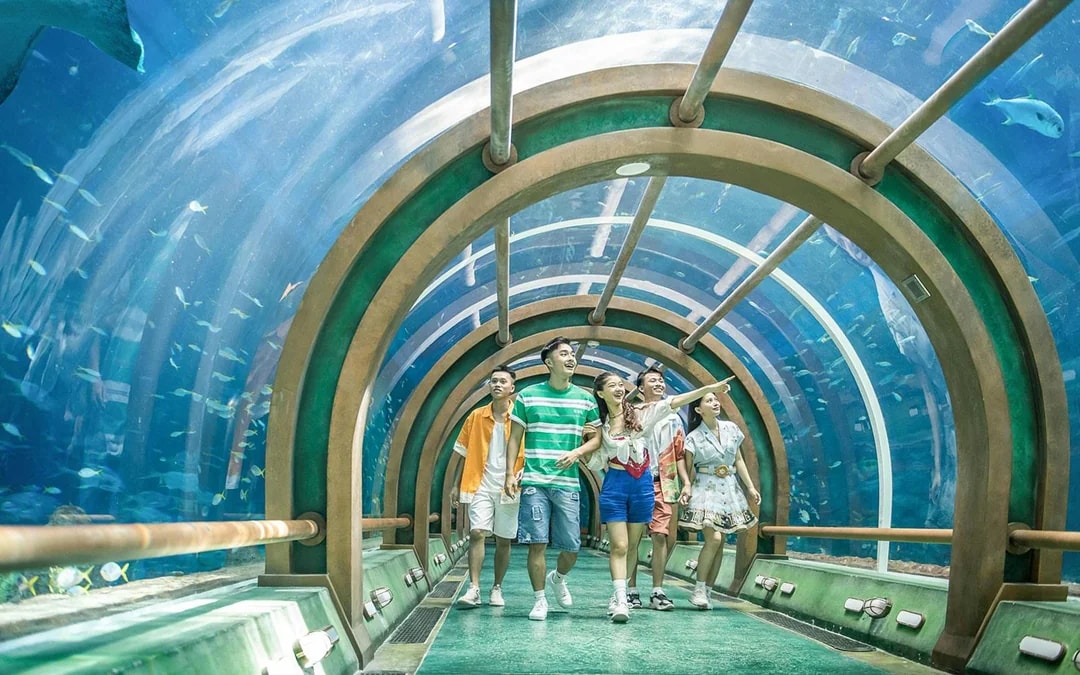 VinWonders Phu Quoc Tickets Image 4