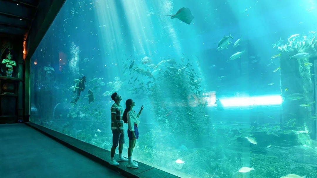 Guests observing marine life at VinWonders Phu Quoc aquarium.