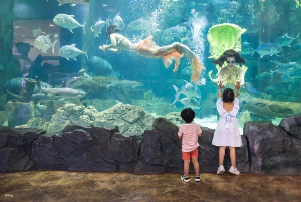 VinKE & Vinpearl Aquarium Times City Ticket | Hanoi