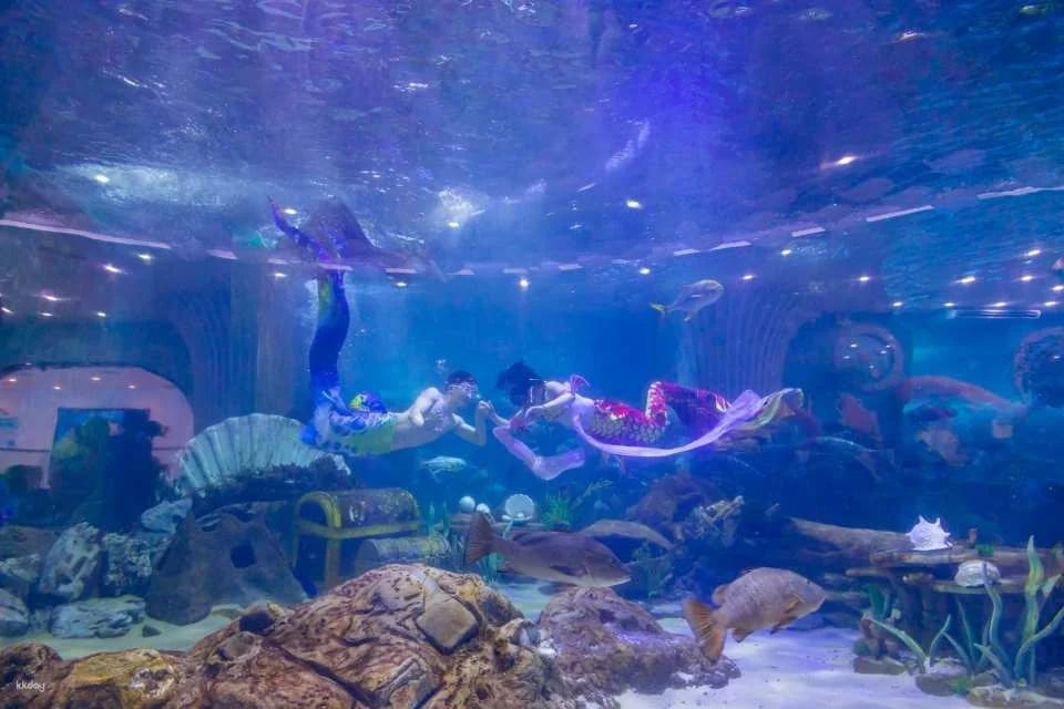 VinKE & Vinpearl Aquarium Times City Ticket | Hanoi