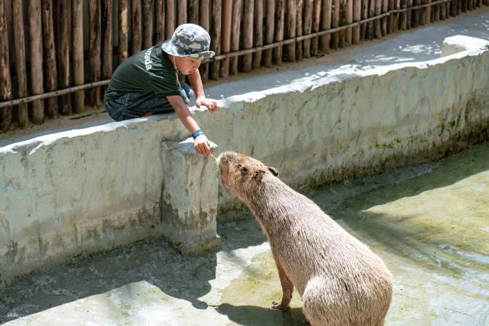 VinWonders Nam Hoi An Theme Park Ticket | Vietnam