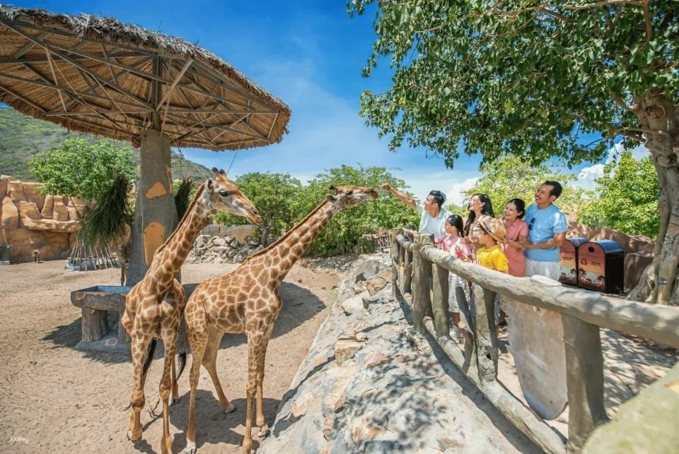 VinWonders Nha Trang Theme Park Ticket