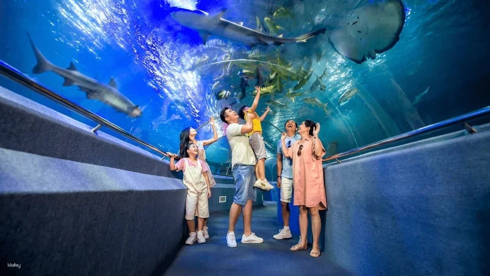 VinWonders Nha Trang Theme Park Ticket