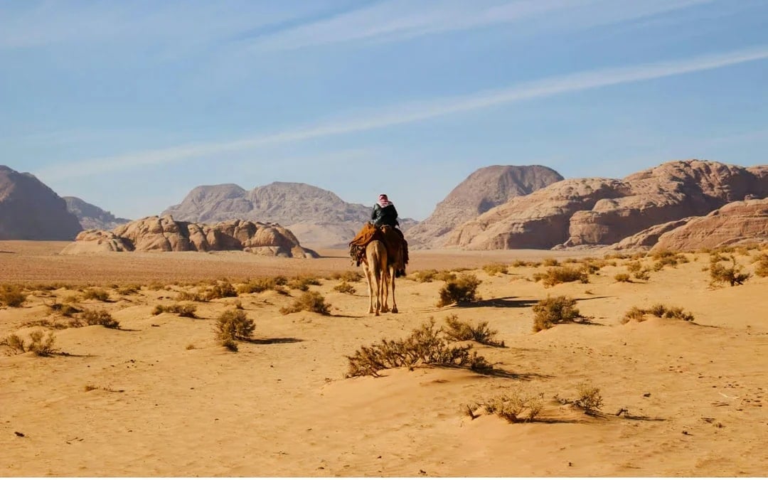 Wadi Rum: Guided Camel Ride with Bedouin Tea and 4WD Desert Transfer
