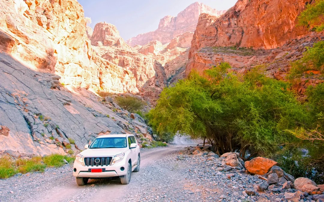 Wadi Shab: Guided Hike and Swim in Paradise for Self-Drivers Image 6