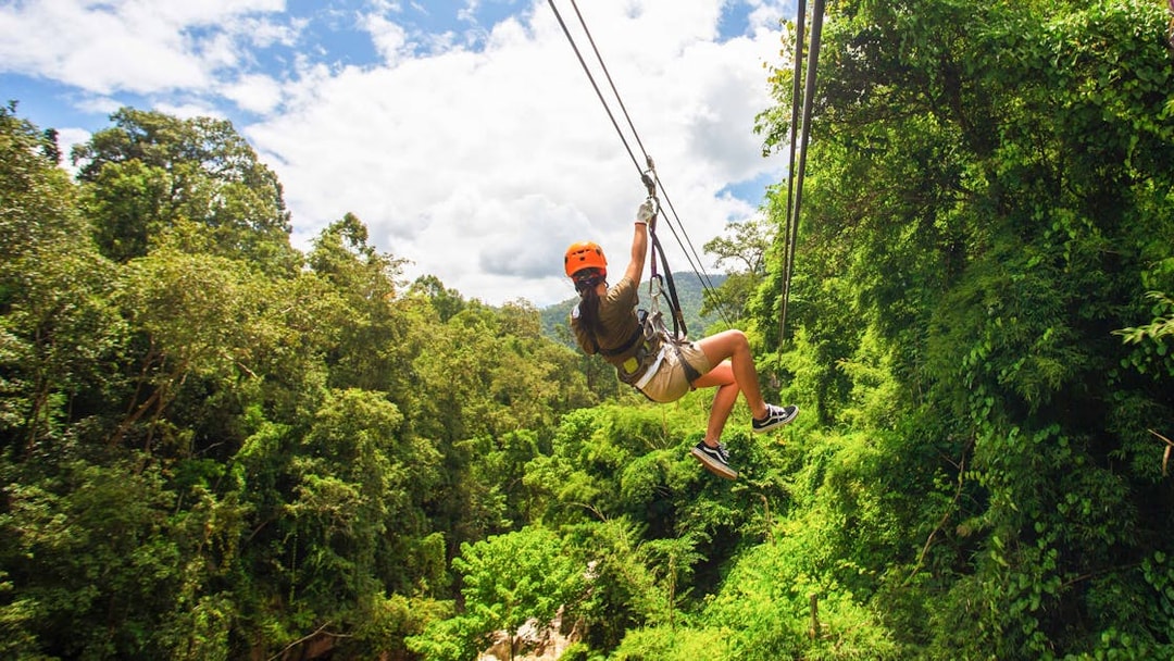 Person ziplining through lush forest at Waitomo Caves Zipline Park.